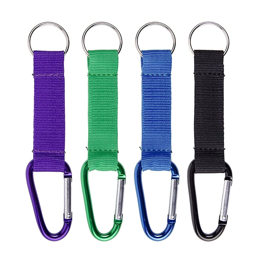 Carabiner Lanyard Keychain	